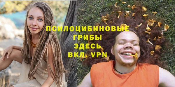 прущий лед Ельня