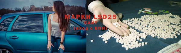 прущий лед Ельня