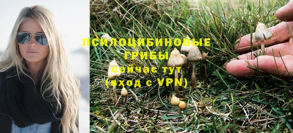 шишки Елабуга