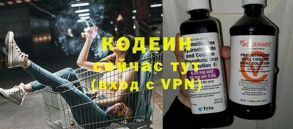 шишки Елабуга
