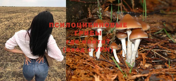 MESCALINE Елизово