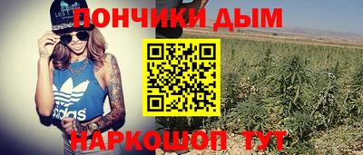 молекула духа Гай