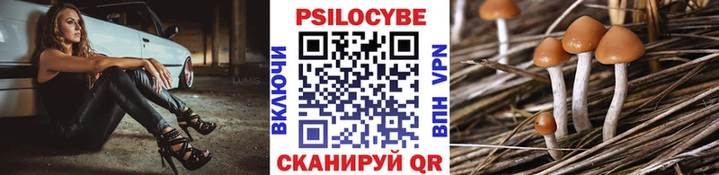 Галлюциногенные грибы Cubensis  Знаменск 
