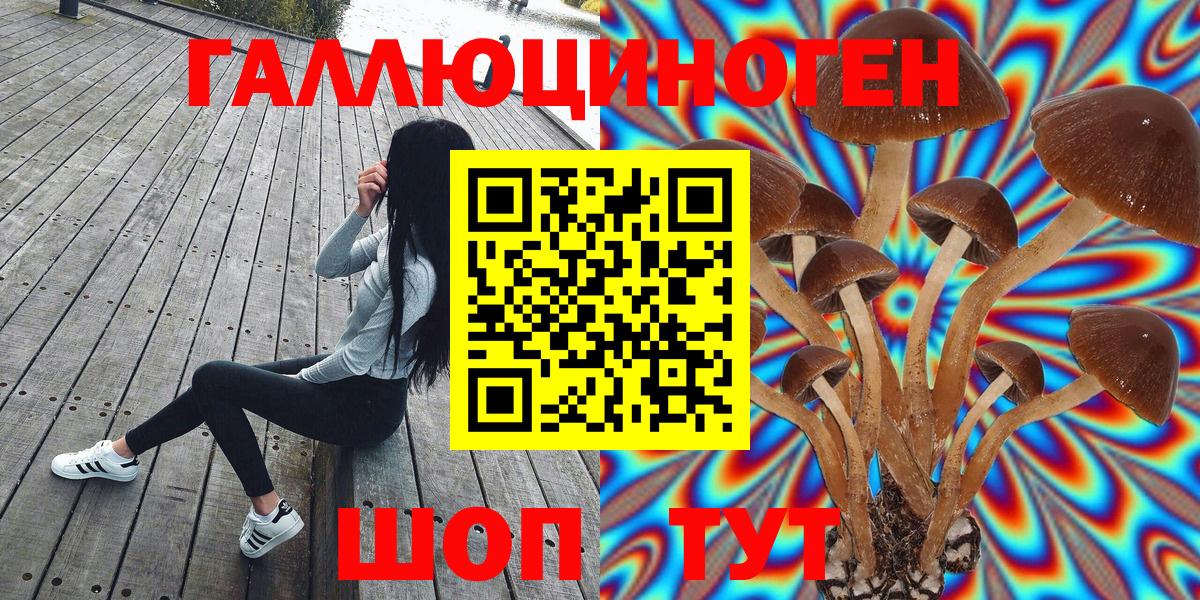 Галлюциногенные грибы ЛСД  Галлюциногенные грибы MAGIC MUSHROOMS  Знаменск 