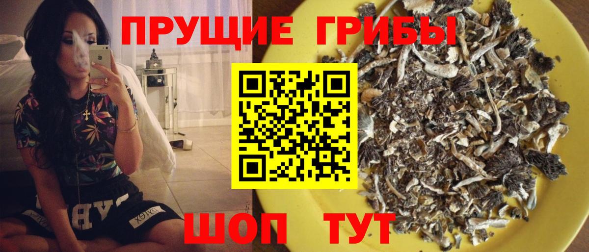даркнет сайт  Вход с VPN  Знаменск  Галлюциногенные грибы Cubensis  Галлюциногенные грибы Psilocybine cubensis 