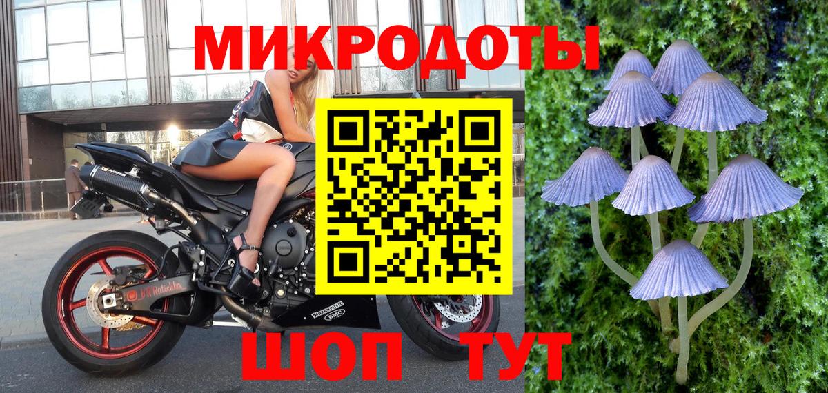 Псилоцибиновые грибы Magic Shrooms Знаменск