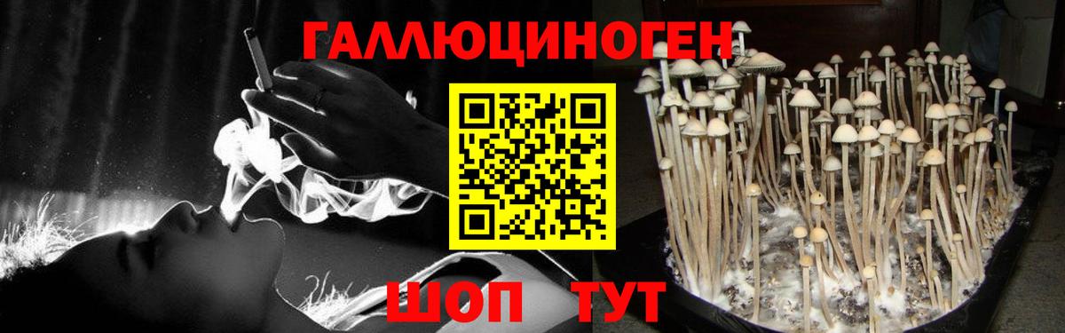 Галлюциногенные грибы Cubensis Знаменск